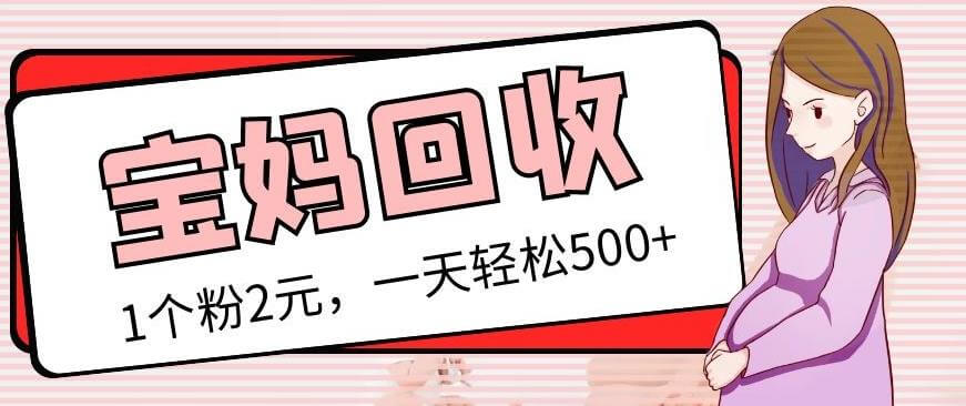 （3330期）最新宝妈粉回收变现计划，胎教音乐高端变现玩法全套教程！（非老玩法） 短视频运营 第1张