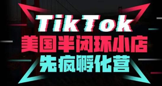 （3359期）疯人院·TikTok美国半闭环小店孵化营，抢占TikTok美国蓝海市场，开店、运营、带货、投流全实操 短视频运营 第1张