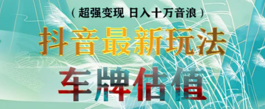 （3396期）抖音最新无人直播变现直播车牌估值玩法项目，轻松日赚几百+【详细玩法教程】 短视频运营 第1张