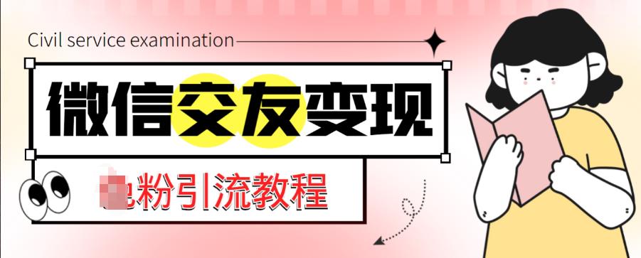 （3432期）微信交友变现项目，吸引全网LSP男粉精准变现，小白也能轻松上手，日入500+ 网赚项目 第1张