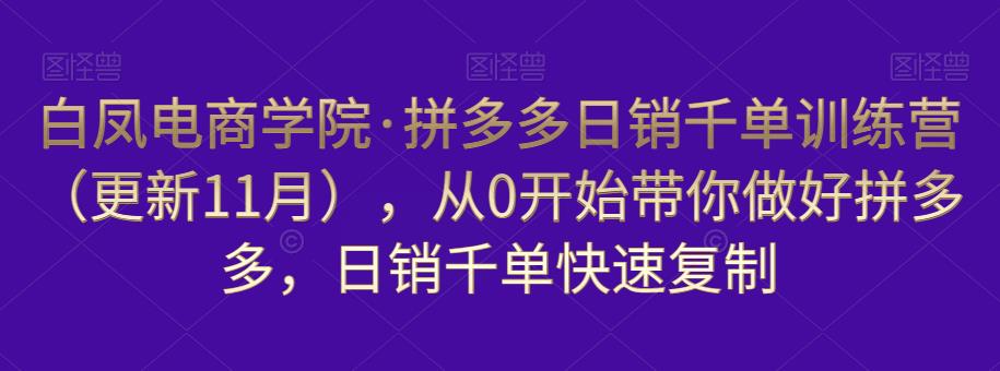 （3445期）白凤电商学院·拼多多日销千单训练营，从0开始带你做好拼多多，日销千单快速复制（更新知2023年3月） 电商运营 第1张