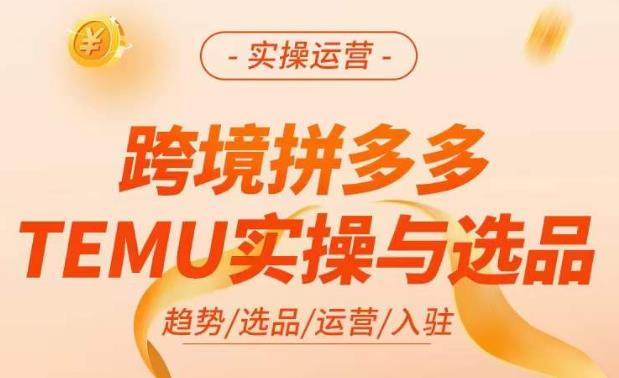 （3556期）跨境拼多多TEMU实操与选品，​掌握平台运营方法技巧，选品避坑12条标准，爆款的底层思路等 电商运营 第1张