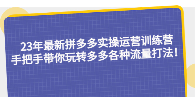 （3595期）2023年最新拼多多实操运营训练营：手把手带你玩转多多各种流量打法！ 电商运营 第1张