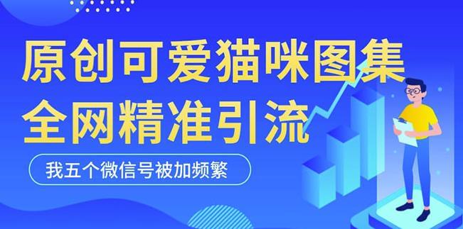 （3646期）黑科技纯原创可爱猫咪图片，全网精准引流，实操5个VX号被加频繁 爆粉引流软件 第1张