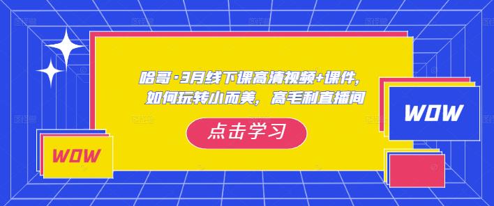 （3741期）哈哥·3月线下实操课高清视频+课件，如何玩转小而美，高毛利直播间 短视频运营 第1张