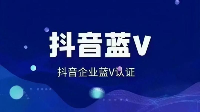 代办营业执照项目，暴利信息差，每单利润100-300+ 网赚项目 第2张