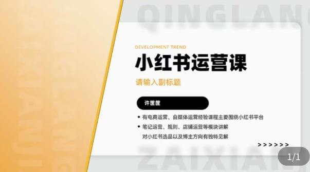 （3824期）许筐筺·小红书运营课，​笔记运营、规则、店铺运营等模块讲解，学会自己独立运营小红书账号 短视频运营 第1张