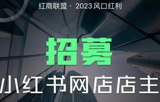 （3825期）红商联盟·小红书无货源电商1.0，0粉丝无需囤货，小白也可以轻松上手的无货源项目 电商运营 第1张