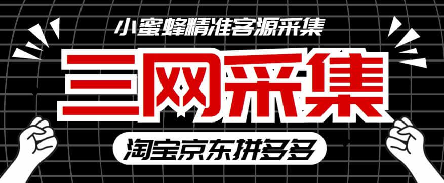 （3875期）外面收费598的小蜜蜂三网采集脚本，淘宝京东拼多多精准用户采集【永久脚本+详细教程】 爆粉引流软件 第1张