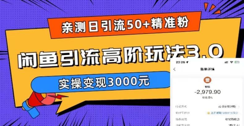 （3876期）亲测日引50+精准粉，闲鱼引流高阶玩法3.0，实操变现3000元【揭秘】 爆粉引流软件 第1张