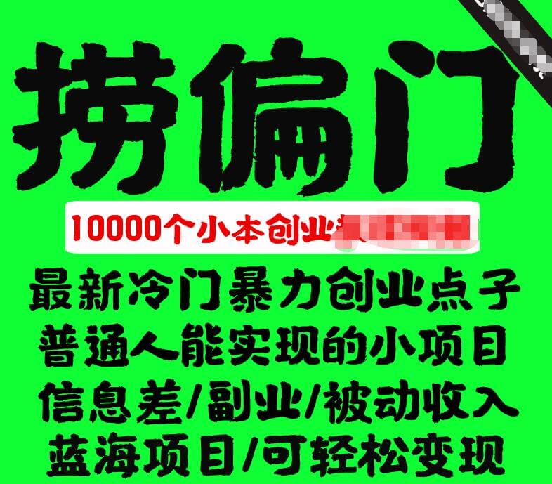 （3895期）千款捞偏门小本创业小项目，总有一款适合你 网赚项目 第1张