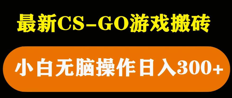 （3898期）最新csgo游戏搬砖游戏，无需挂机小白无脑也能日入300+ 网赚项目 第1张