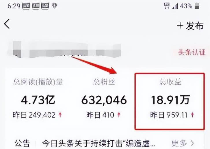每天5分钟日入过千的抖音短视频蓝海项目实操攻略 网赚项目 第1张