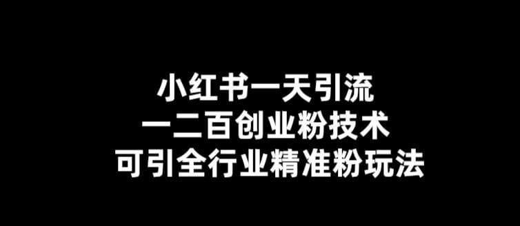 （3951期）小红书一天引流一二百创业粉技术，可引全行业精准粉玩法【仅揭秘】 爆粉引流软件 第1张