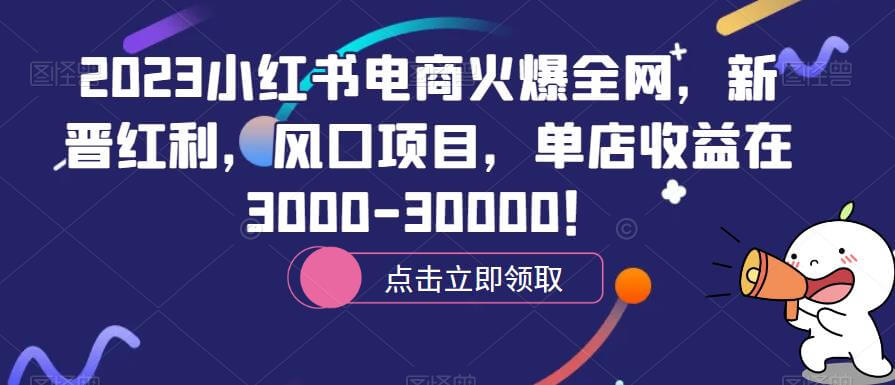 （3969期）2023小红书电商火爆全网，新晋红利，风口项目，单店收益在3000-30000！ 电商运营 第1张