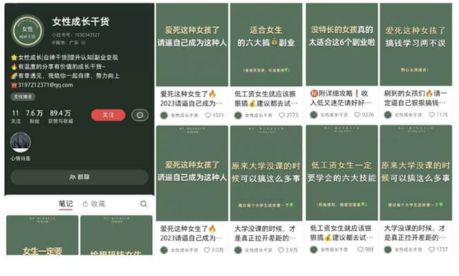 (3984期)小红书各行业引流玩法,从养号到制作到引流等,一条龙分享给你 爆粉引流软件 第3张-星赚网_免费分享_最新网赚创业项目_星创