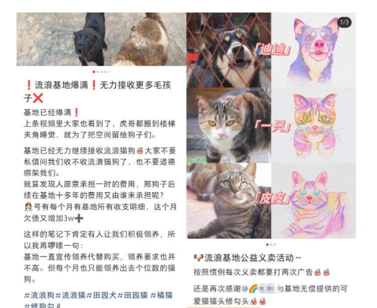 （4000期）小红书蓝海类赛道：小动物打赏与购买变现副业项目，一条龙玩法分享给你！ 短视频运营 第2张