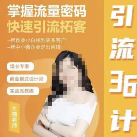 （4026期）大猫·引流36计，掌握流量密码，快速引流拓客，帮创业小白找到更多客户，帮中小微企业走出困境 爆粉引流软件 第1张