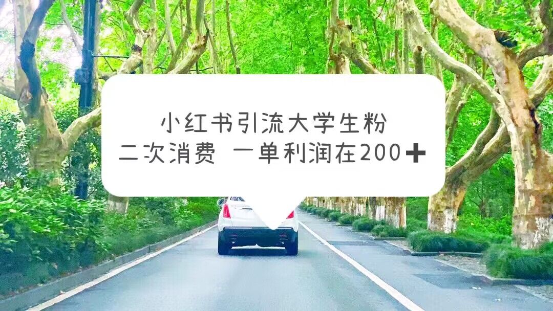 （4048期）小红书引流大学生粉，变现项目，一单利润在200+（教程+资源） 爆粉引流软件 第1张