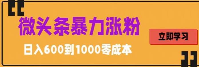 （4075期）微头条暴力涨粉技巧搬运文案就能涨几万粉丝，简单0成本，日赚600【揭秘】 短视频运营 第1张