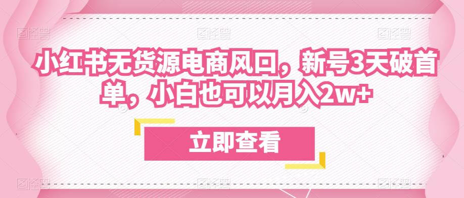 （4201期）众狼电商余文小红书无货源电商风口，新号3天破首单，小白也可以月入2w+ 电商运营 第1张