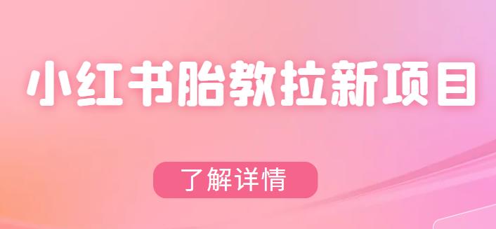 （4229期）小红书胎教网盘拉新项目，可在私域变现两次（作品制作教程+素材） 短视频运营 第1张