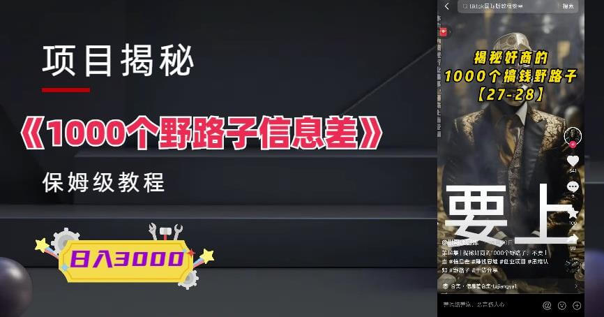 （4272期）1000个野路子信息差保姆式教程-单日变现3000+的玩法解密 网赚项目 第1张