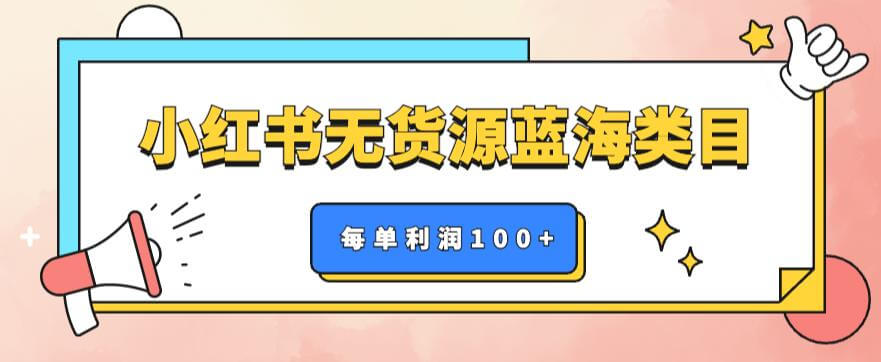 （4315期）小红书无货源做蓝海类目【每单利润50-200+】，单月轻松过万【揭秘】 短视频运营 第1张