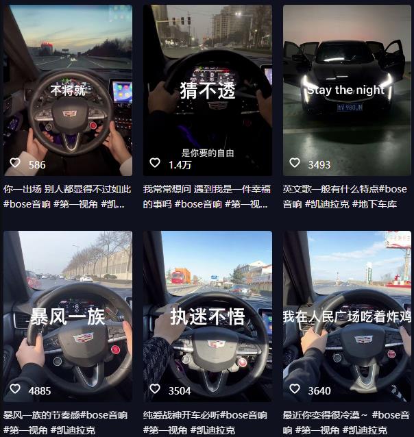 （4355期）抖音开车视频项目，0基础操作，每天五分钟，月入1W+【揭秘】 网赚项目 第2张