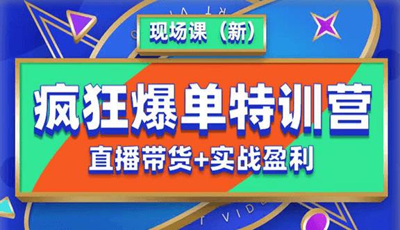 （4394期）抖音短视频疯狂爆单特训营现场课（新）直播带货+实战案例 短视频运营 第1张