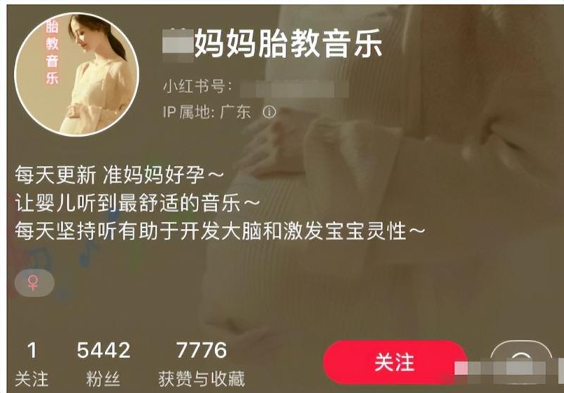 小红书胎教音乐副业项目，拉新+引流轻松搞定，玩法无私分享给你 网赚项目 第2张