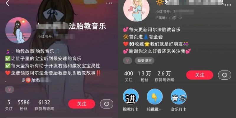 小红书胎教音乐副业项目,拉新+引流轻松搞定,玩法无私分享给你 网赚项目 第6张-星赚网_免费分享_最新网赚创业项目_星创 小红书胎教音乐副业项目,拉新+引流轻松搞定,玩法无私分享给你