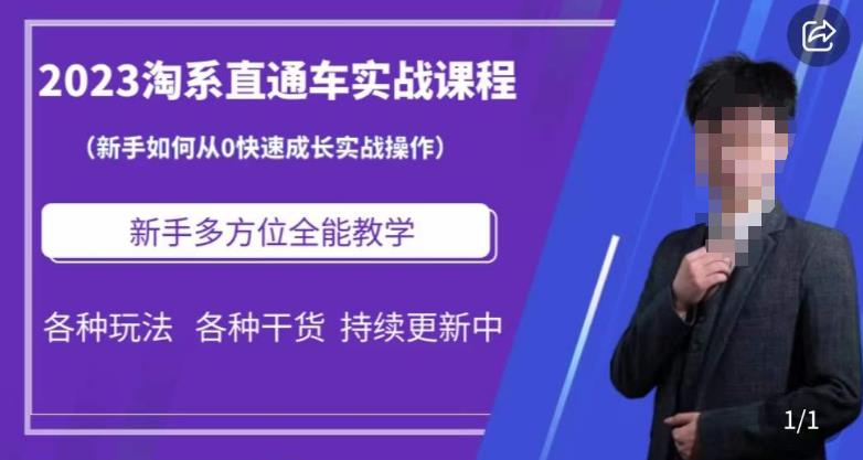 （4439期）2023淘系直通车保姆式运营讲解，新手如何从0快速成长实战操作，新手多方位全能教学 电商运营 第1张