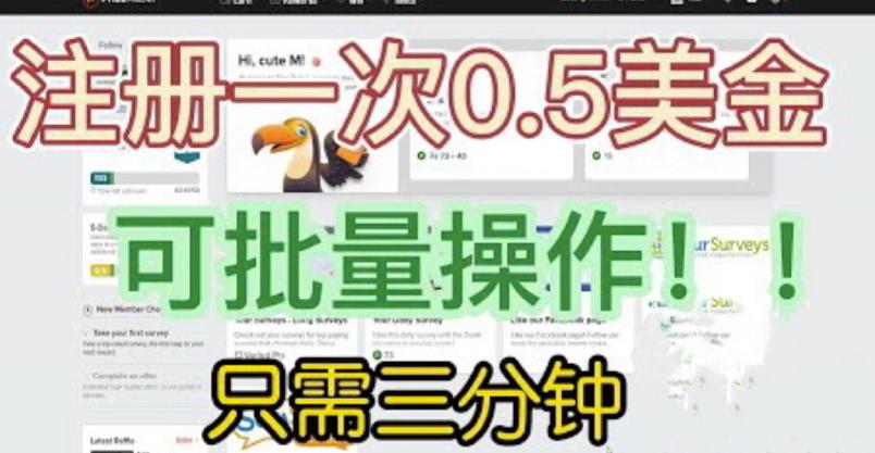 （4456期）国外项目注册一次0.5美金，只需三分钟无脑操作，可批量同时放大操作，小白工作室福利【揭秘】 网赚项目 第1张