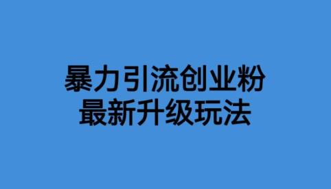 （4459期）价值1980一千个野路子暴力引流最新升级玩法【揭秘】 网赚项目 第1张