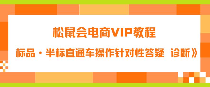 （4461期）松鼠会电商VIP教程：松鼠《付费推广标品·半标直通车操作针对性答疑&诊断》 电商运营 第1张