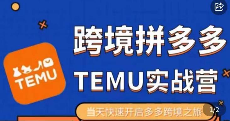 （4490期）大鹏出海·拼多多跨境temu运营指导，开店注册+选品+核价上架，日出千单实战课 电商运营 第1张