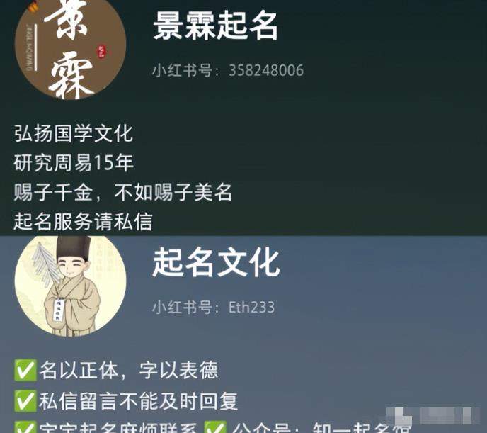 宝宝起名项目，亲测一单298，单号月入1万+（附保姆级教程） 网赚项目 第2张