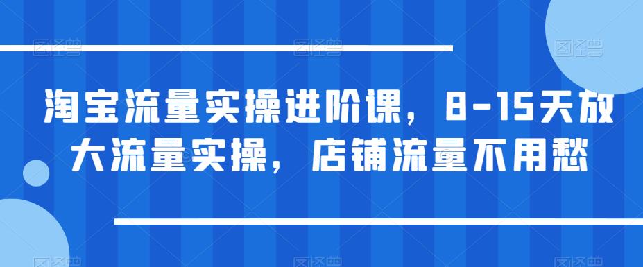 （4500期）淘宝流量实操进阶课，8-15天放大流量实操，店铺流量不用愁 电商运营 第1张