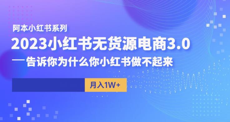 （4576期）阿本小红书无货源电商3.0，告诉你为什么你小红书做不起来 短视频运营 第1张