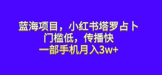 （4605期）蓝海项目，小红书塔罗占卜，门槛低，传播快，一部手机月入3w+【揭秘】 网赚项目 第1张