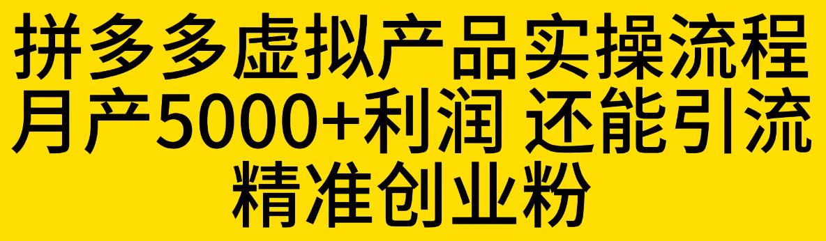 （4627期）拼多多虚拟产品实操流程，月产5000+利润，还能引流精准创业粉【揭秘】 电商运营 第1张