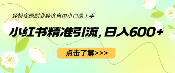 （4703期）小红书精准引流，小白日入600+，轻松实现副业经济自由 爆粉引流软件 第1张