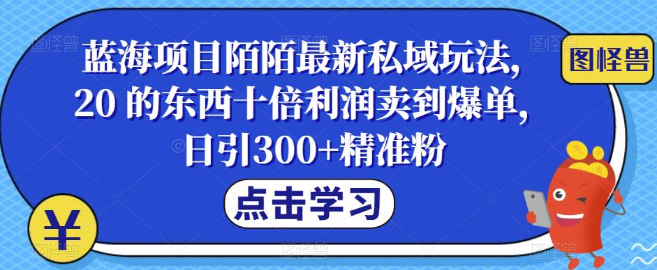 （4727期）蓝海项目陌陌最新私域玩法，20 的东西十倍利润卖到爆单，日引300+精准粉【揭秘】 私域变现 第1张