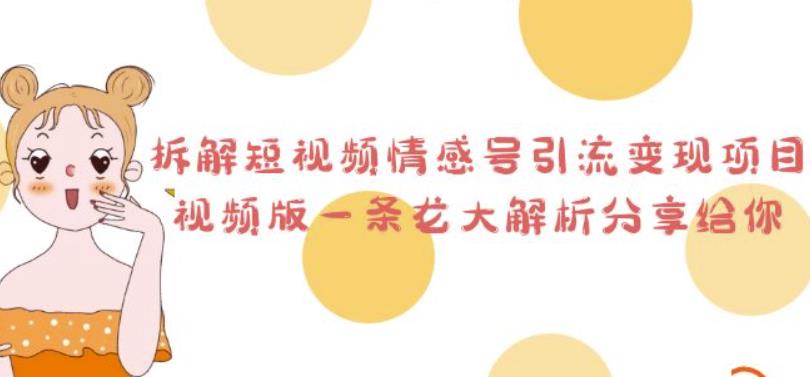 （4740期）黄岛主·拆解短视频情感号引流变现项目，视频版一条龙大解析分享给你 爆粉引流软件 第1张