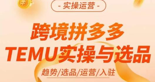 （4753期）伍跃·跨境拼多多TEMU实操与选品，​趋势/选品/运营/入住（27节完整） 电商运营 第1张