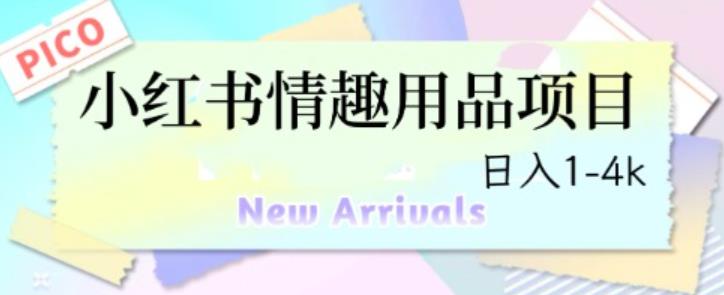 （4761期）最新小红书情趣用品项目，日入1-4k【仅揭秘】 网赚项目 第1张