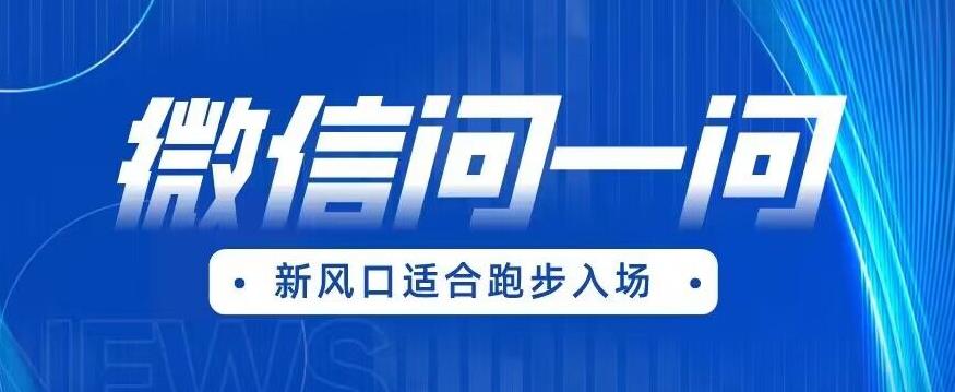 （4763期）全网首发微信问一问新风口变现项目（价值1999元）【揭秘】 网赚项目 第1张