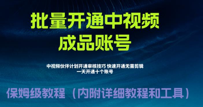 （4769期）外面收费1980的暴力开通中视频计划教程，内附详细的快速通过中视频伙伴计划的办法 新媒体 第1张