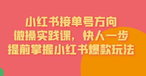 （4828期）接单号方向·小红书微操实践课，快人一步，提前掌握小红书爆款玩法 短视频运营 第1张